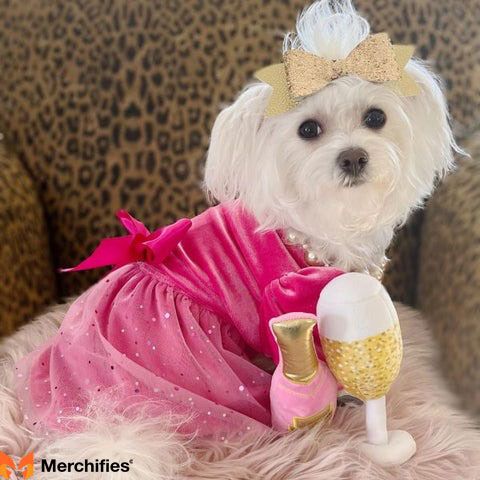 Why Dress Your Dog in a Shirt? More Than Just Fashion