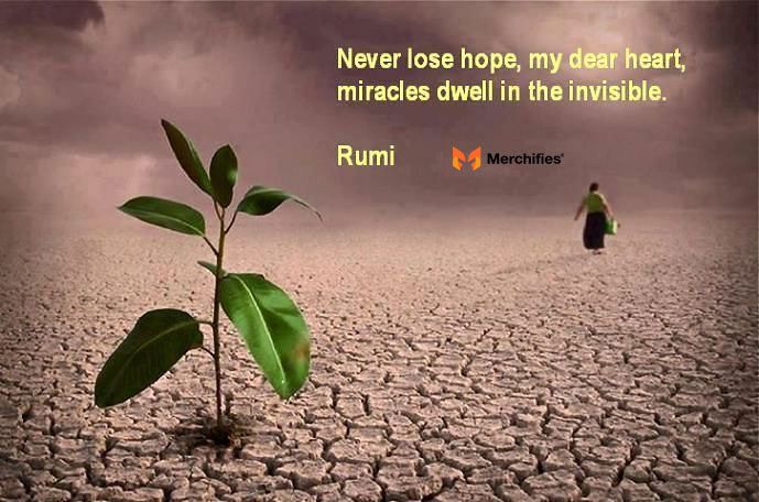 A Glimmer of Hope: Quotes on Resilience and Healing