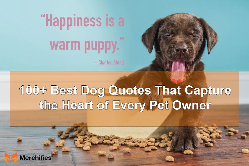 100+ Best Dog Quotes That Capture the Heart of Every Pet Owner