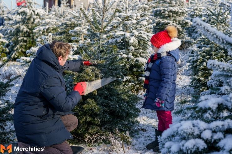 Caring for Your Christmas Tree (Primarily Real Trees)