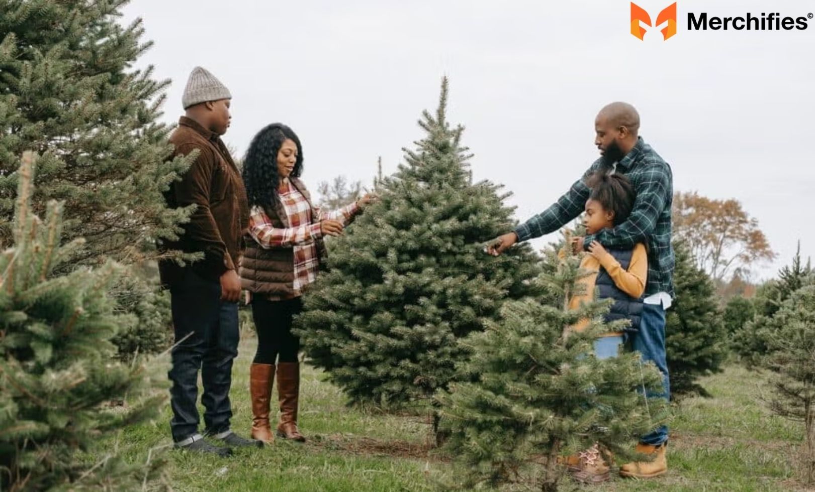 Eco-Friendly Disposal Options Give Your Tree a Second Life