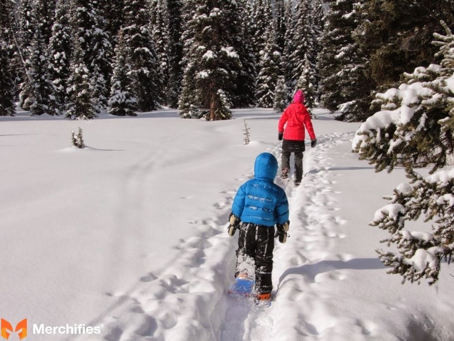 Great Grandma Gifts for Christmas Memorable Experiences and Shared Moments