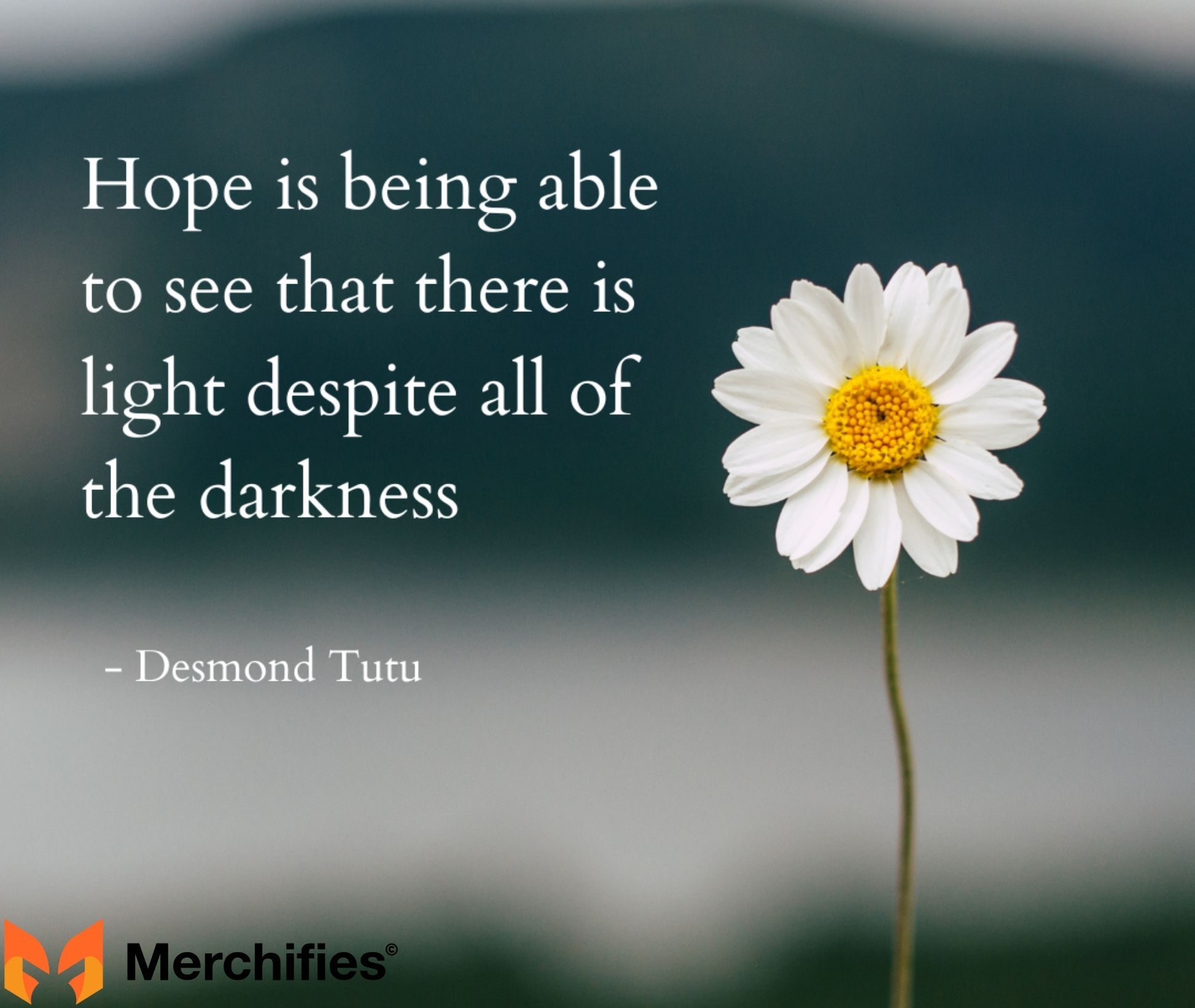 Hope is being able to see that there is light despite all of the darkness. – Desmond Tutu