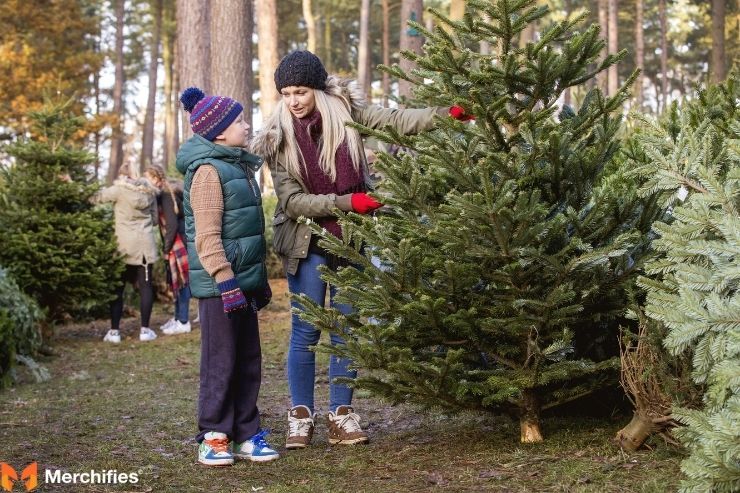How to Choose the Perfect Christmas Tree: Your Ultimate Guide