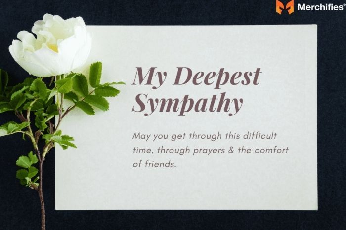 How to Write a Heartfelt Message to a Bereaved Family: Condolence, Comfort, and Support
