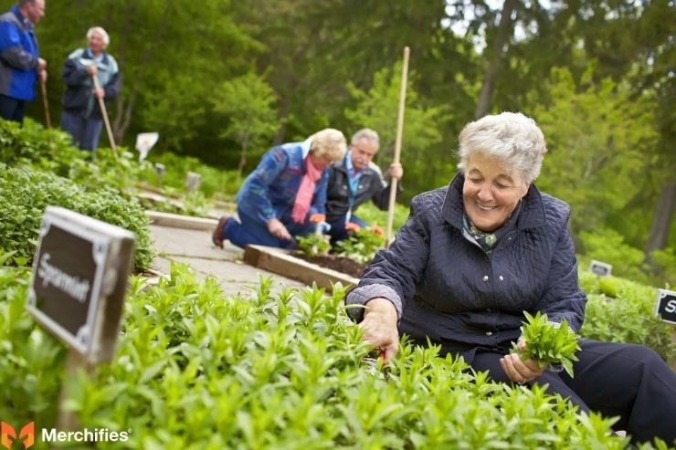 Injecting Positivity and Lightness