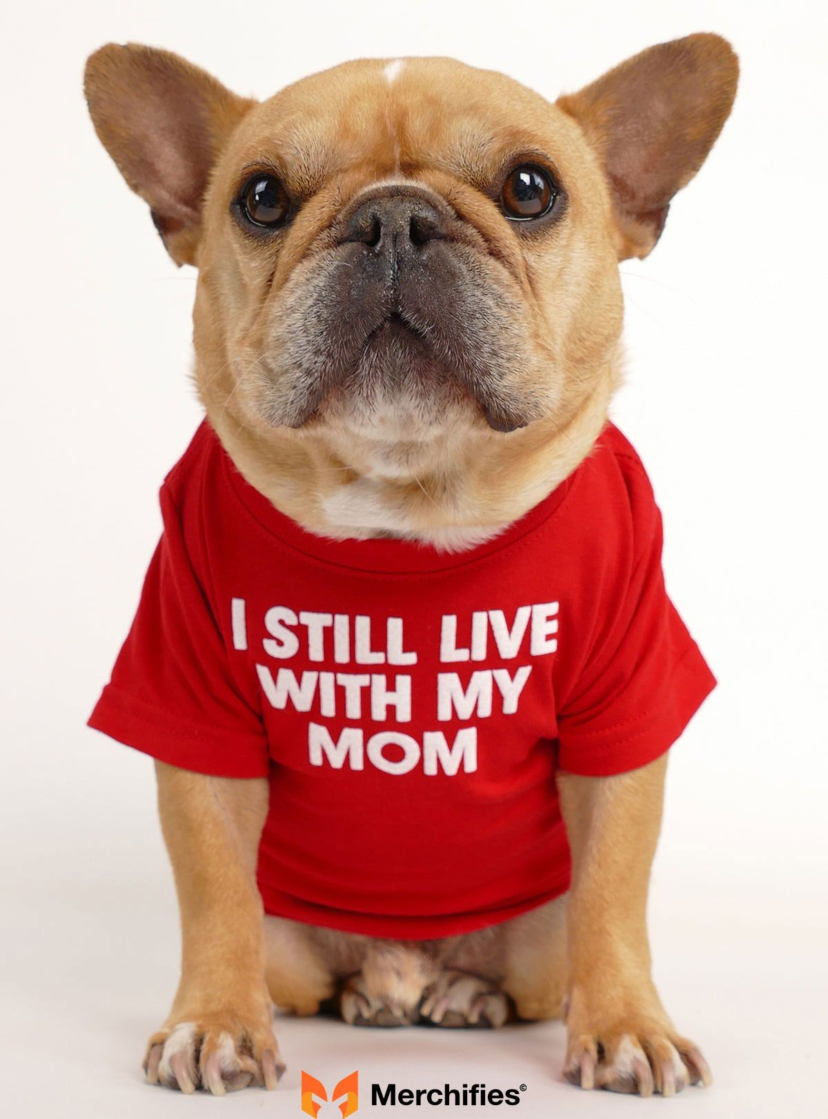Where to Fetch Your Next Hilarious Dog Shirt: Top Shops &amp; Custom Options