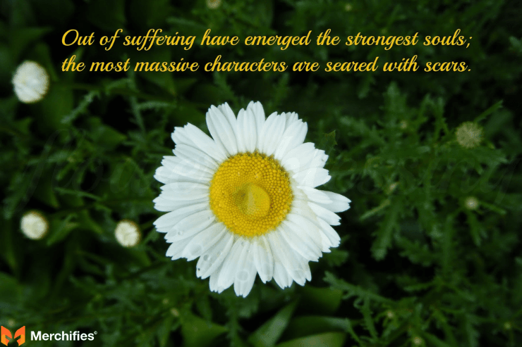 Quotes About How Love Hurts