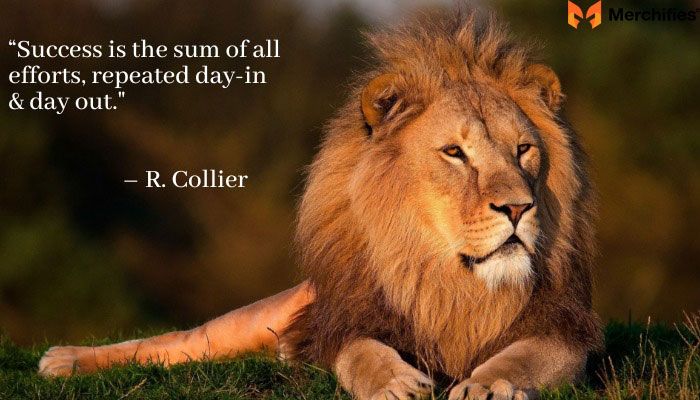 How to Effectively Use Motivational Quotes in Your Study Routine