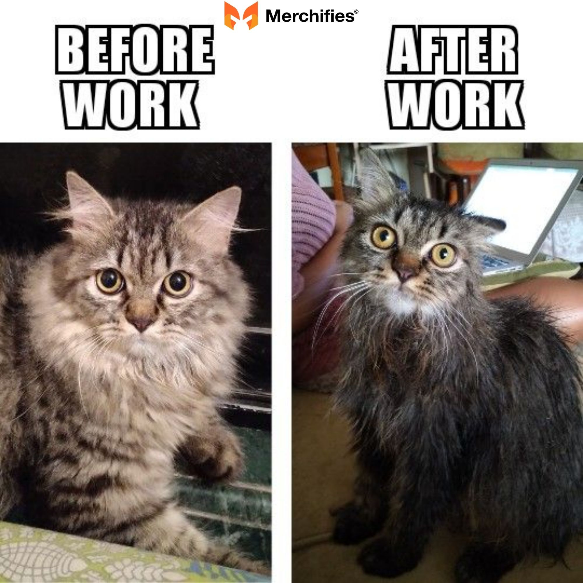The Before & After Admin Working Memes 