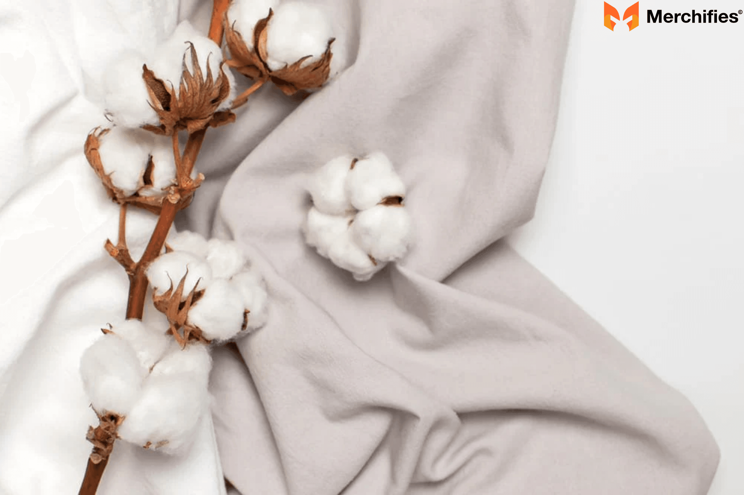 The Synergistic Benefits Why Choose 5050 Cotton Polyester