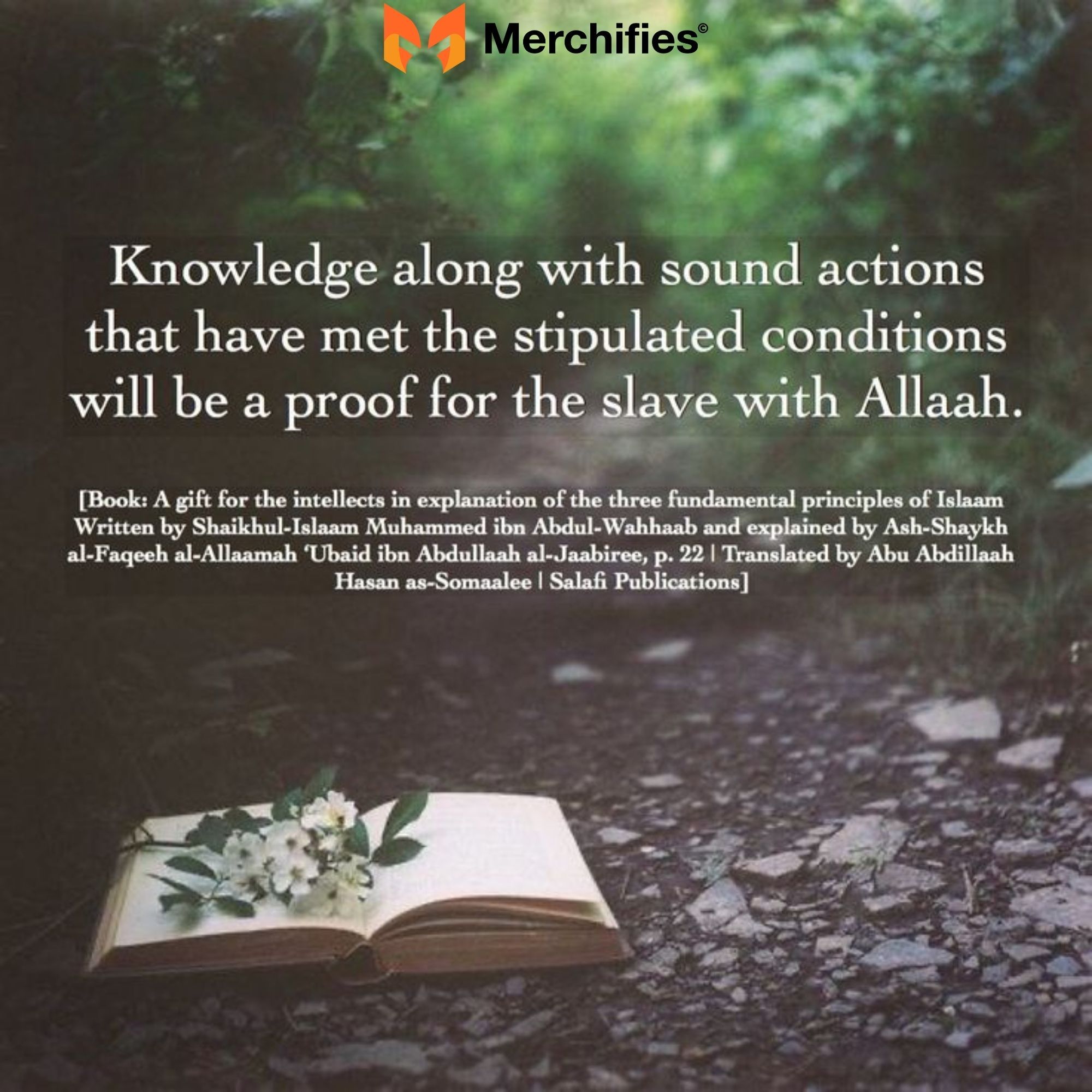 Thematic Categories of Islamic Proverbs About Life On Knowledge ('Ilm) & Wisdom (Hikmah)