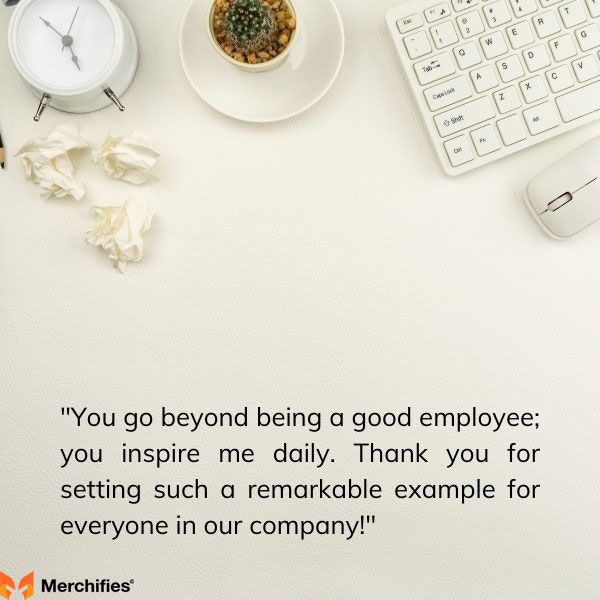 Mentorship & Support