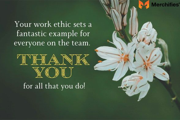 The Unsung Hero of Workplace Culture: Why Employee Appreciation Matters More Than Ever