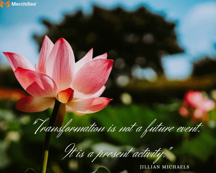 Lotus-Flower-Quotes-About-Transformation-and-Rebirth