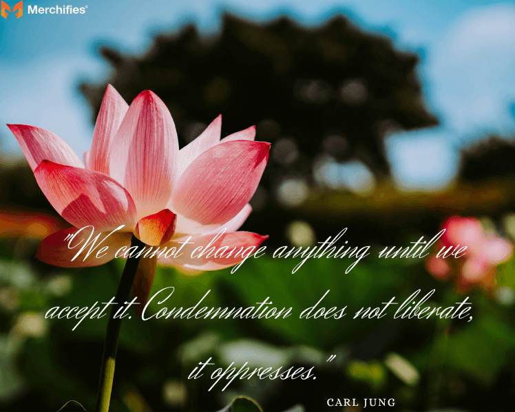 Lotus-Wisdom-on-Acceptance-and-Finding-Beauty-in-Imperfection
