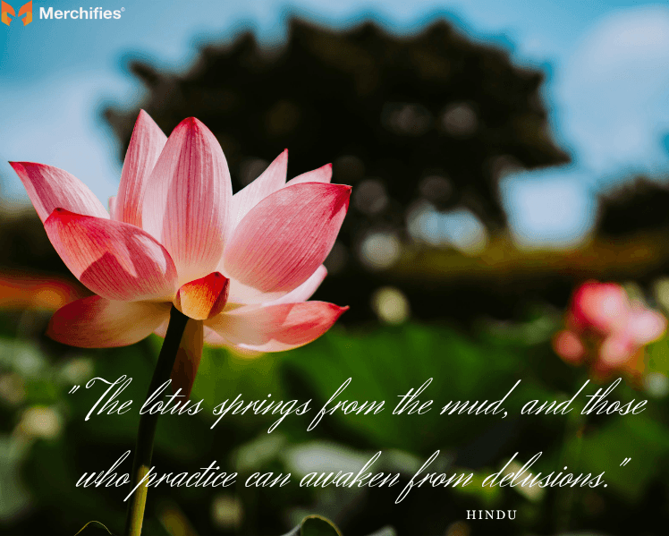 Hindu-Lotus-Flower-Quotes-and-Sacred-Wisdom