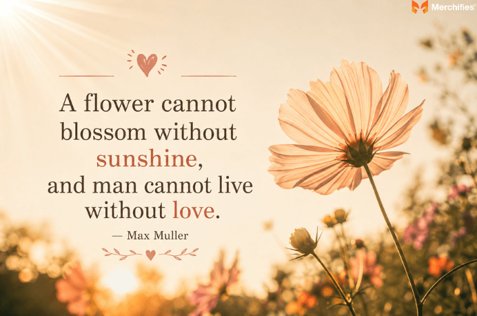 Flower-Quotes-About-Love-and-Friendship (2)