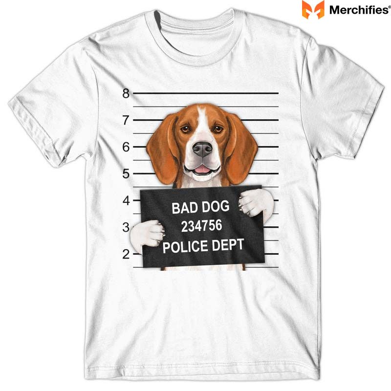 Beagle Design Inspiration & Concepts