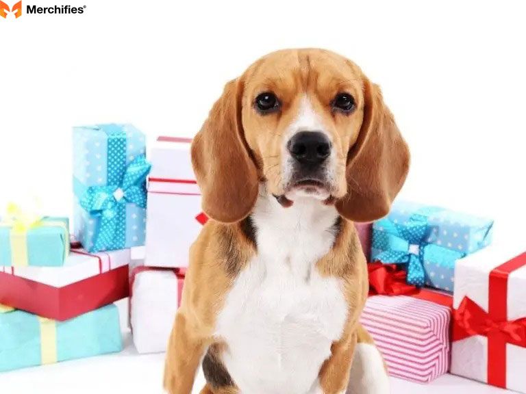 20 Best Beagle Gifts for Dog Lovers in 2025