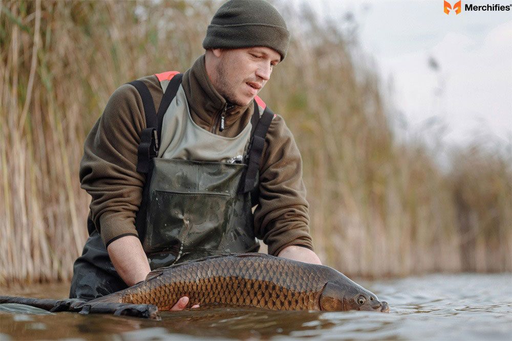 Assess Their Skill Level (Beginner, Intermediate, Expert)