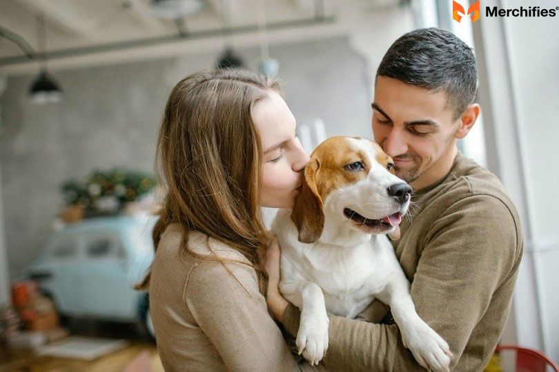 The Unmistakable Charm: Our Takeaway from Every Beagle Owner Interview