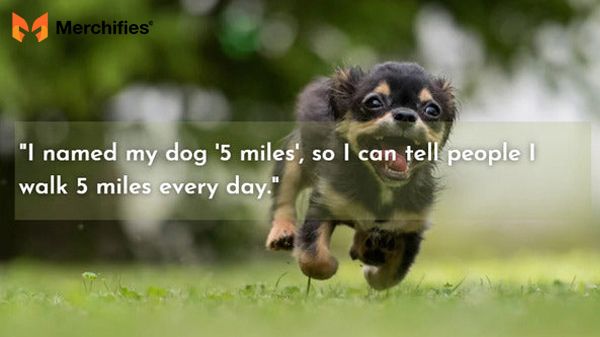 Heartwarming Dog Quotes About Unconditional Love