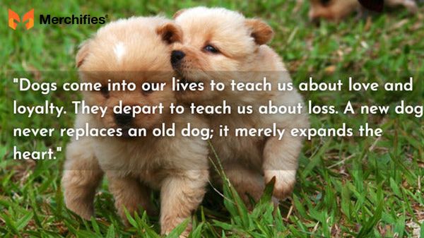 Dog Loyalty Quotes That Honor Faithful Companions