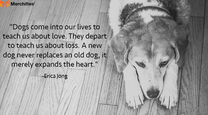 Inspirational &amp; Wisdom: Quotes Celebrating the Dog's Spirit