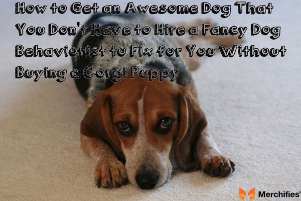 Beagle Quotes That Inspire Every Dog Owner