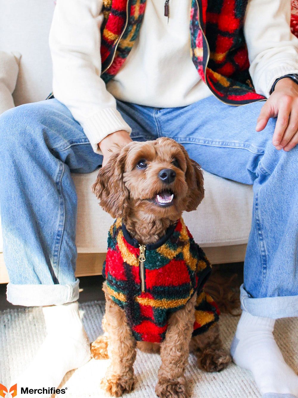 Care Tips for Your Matching Beagle Apparel