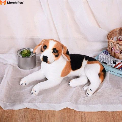 Understanding the Beagle Lover's Style: Tailoring Your Choice