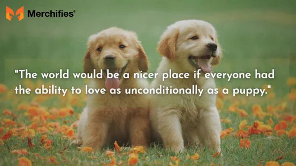 Puppy Quotes That Capture New Beginning Joy