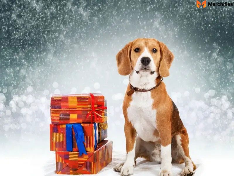 20 Best Beagle Gifts for Dog Lovers in 2025