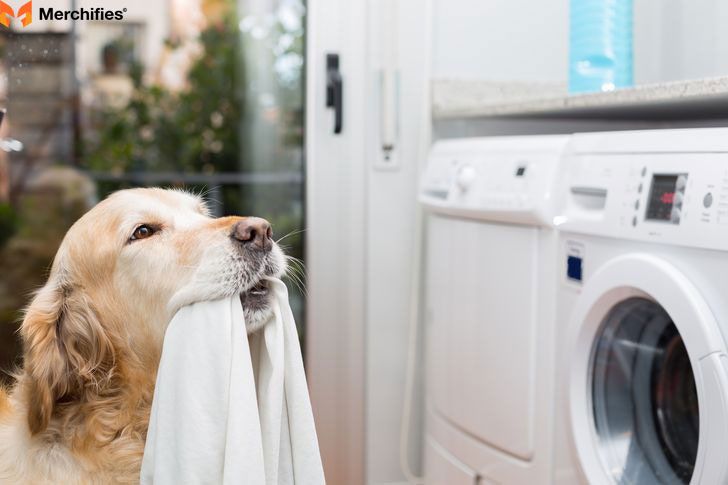 How to Wash and Maintain Dog Print Shirts