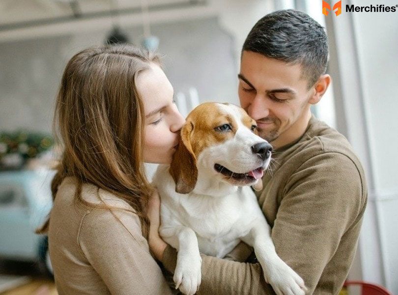 20 Best Beagle Gifts for Dog Lovers in 2025