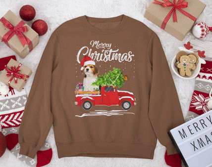 sweatshirt-cate