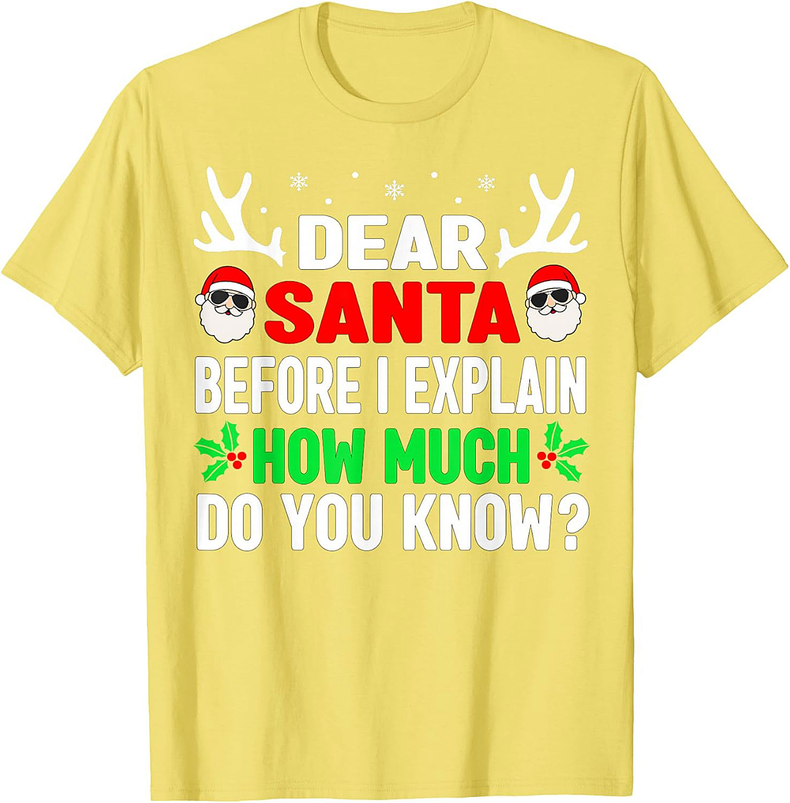 Funny Dear Santa T-shirt Naughty List Holiday Tee