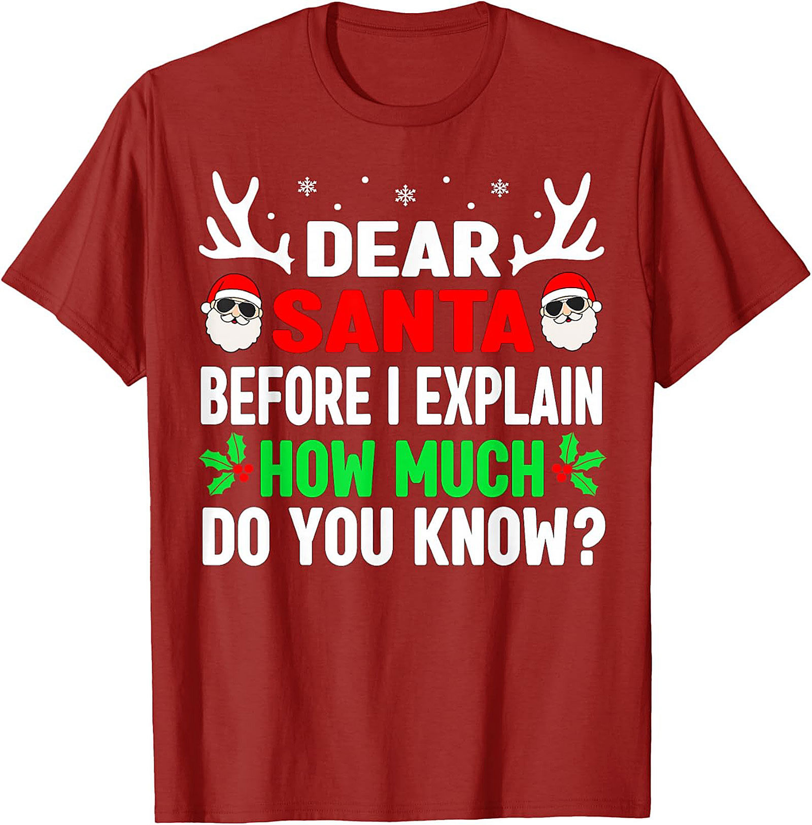 Funny Dear Santa T-shirt Naughty List Holiday Tee