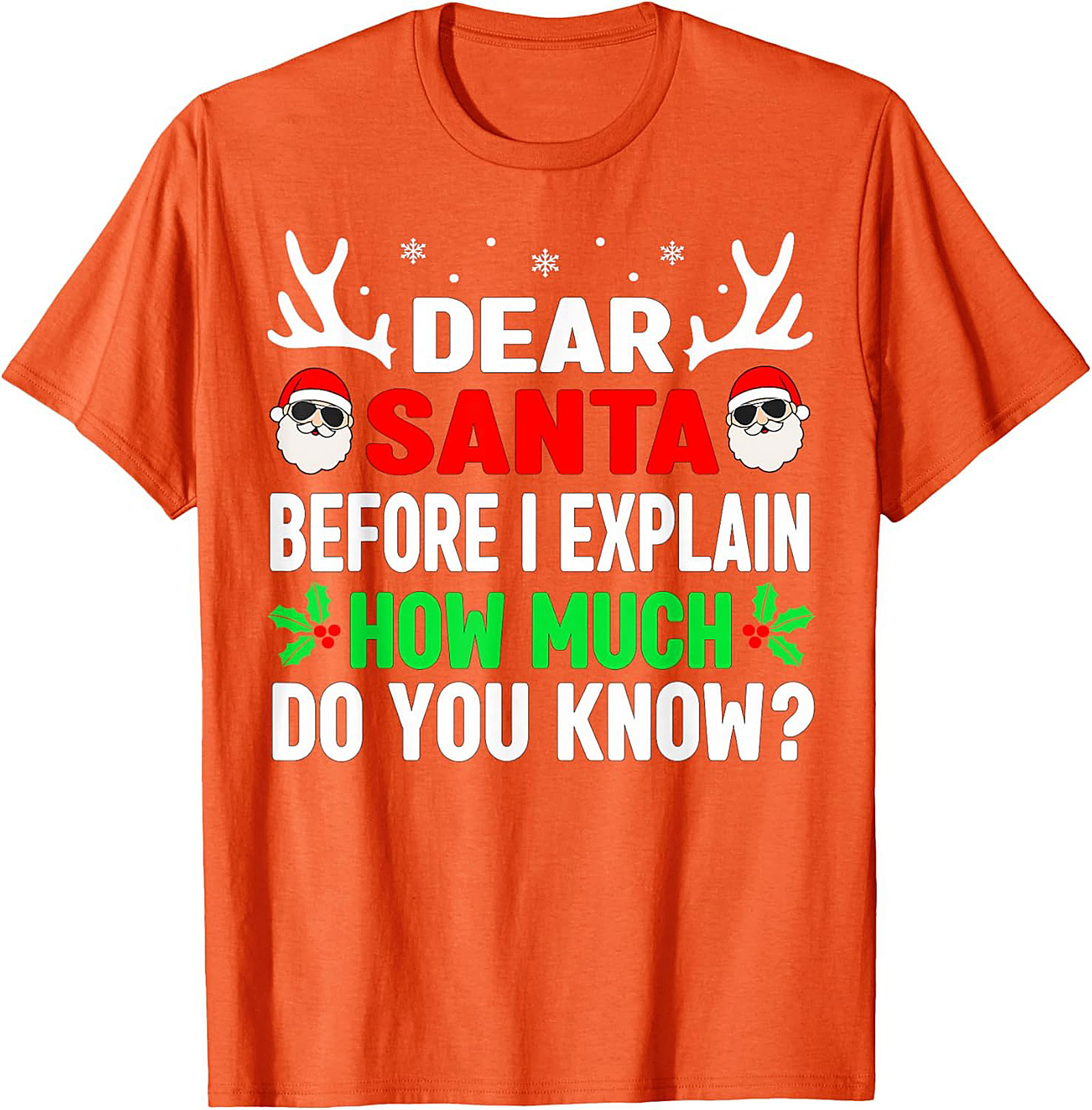 Funny Dear Santa T-shirt Naughty List Holiday Tee