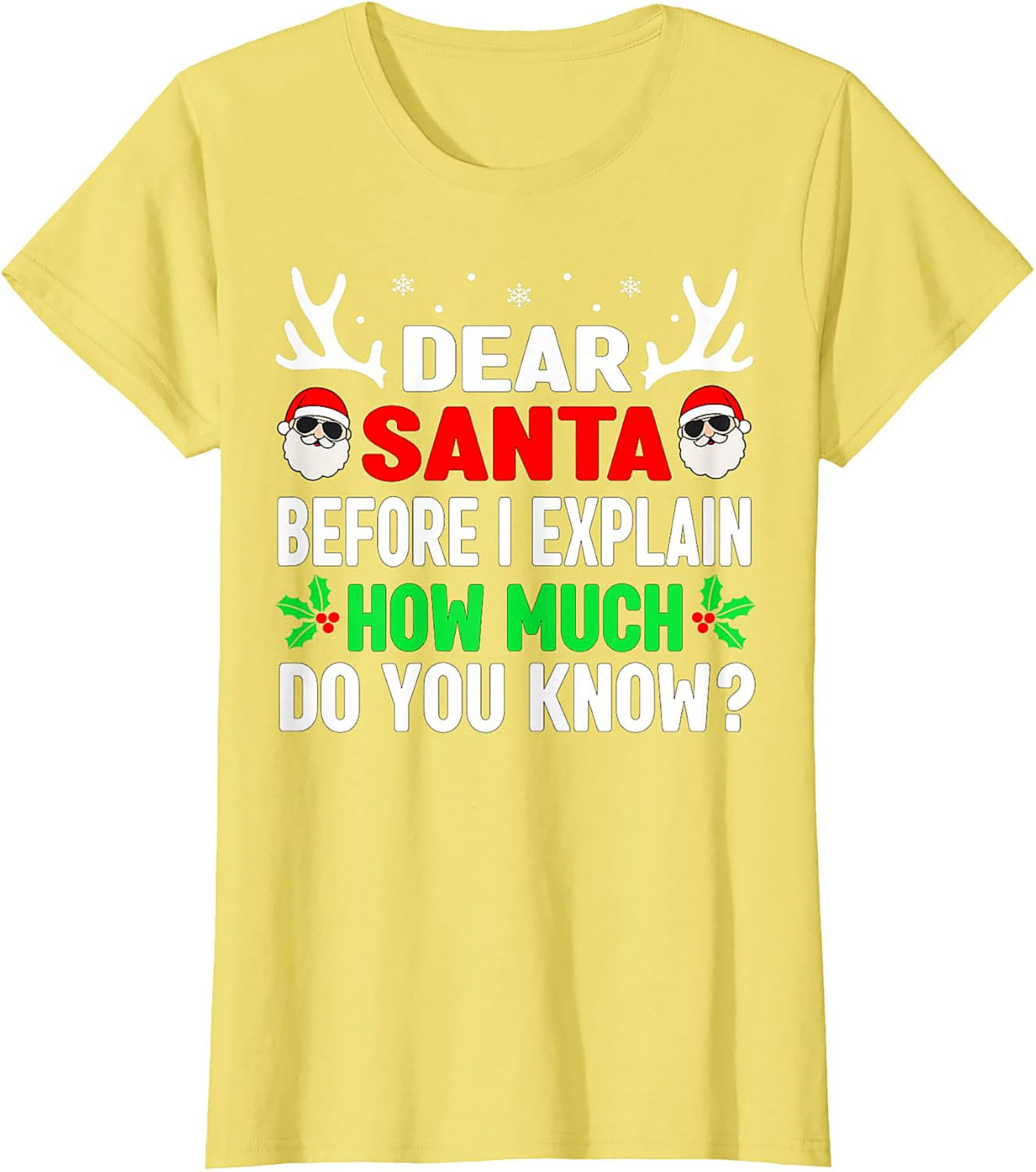 Funny Dear Santa T-shirt Naughty List Holiday Tee