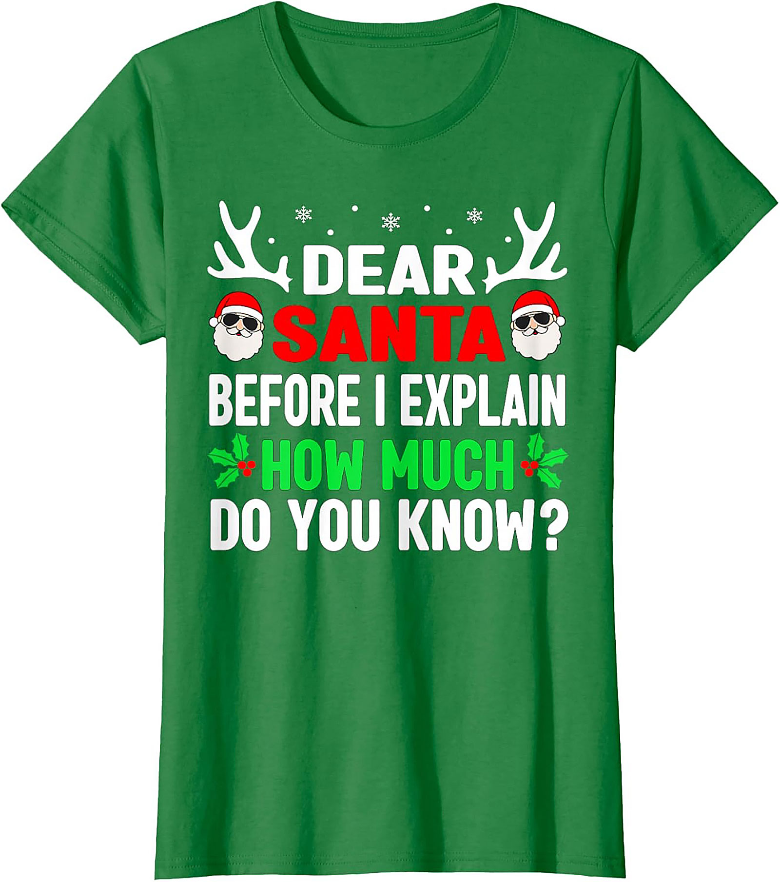 Funny Dear Santa T-shirt Naughty List Holiday Tee