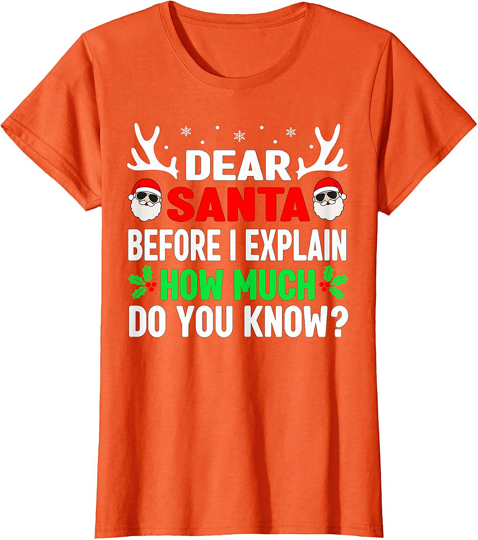 Funny Dear Santa T-shirt Naughty List Holiday Tee