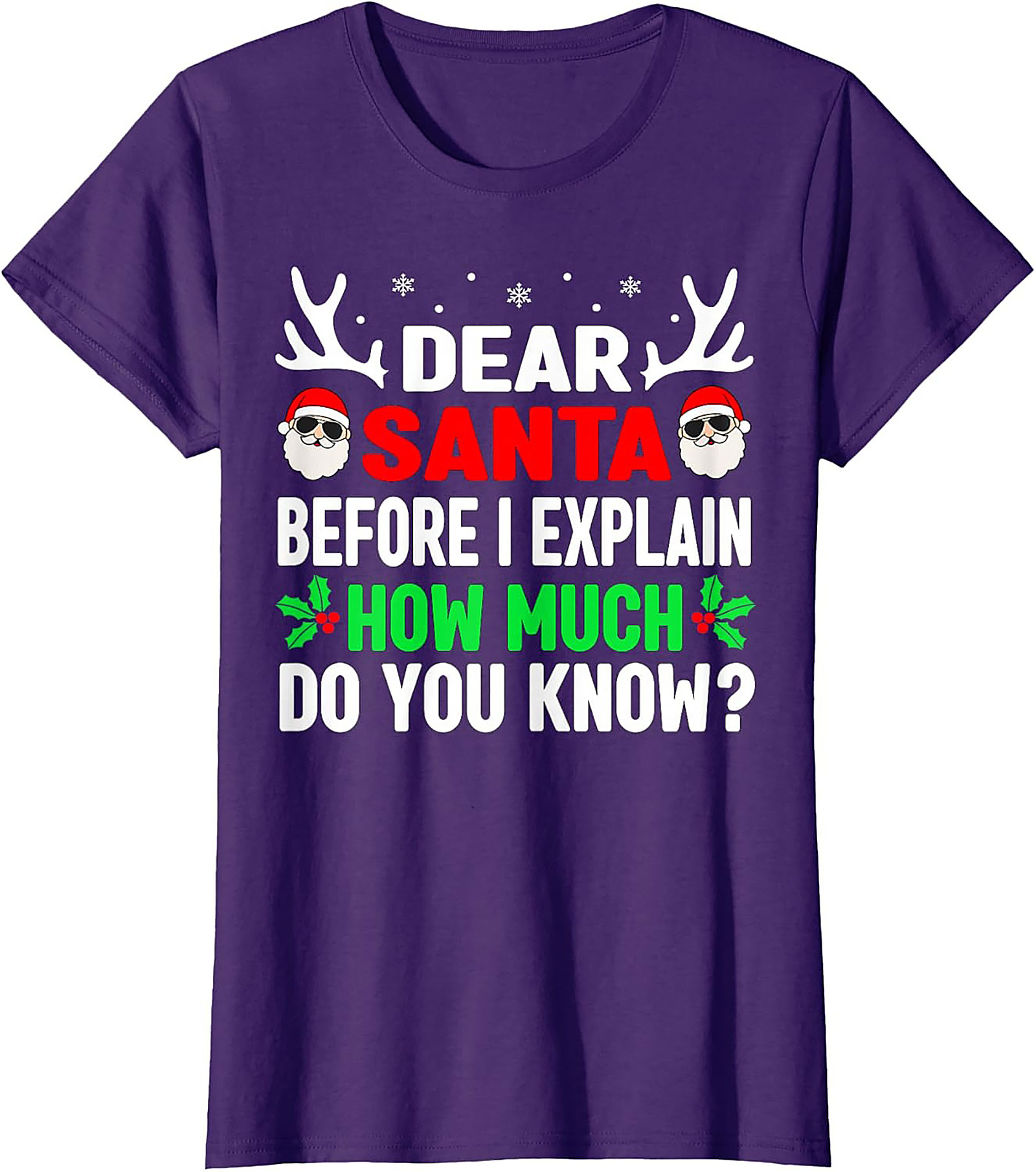 Funny Dear Santa T-shirt Naughty List Holiday Tee