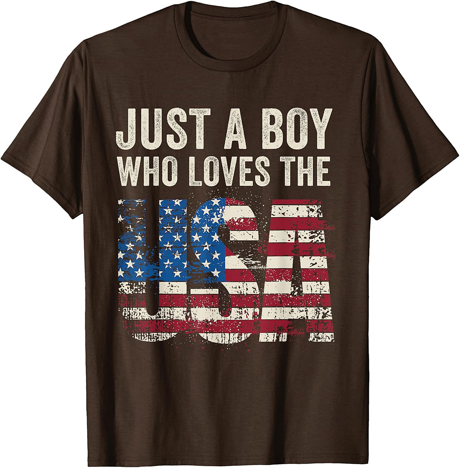 Just a Boy Who Loves the USA Patriotic Graphic Tee