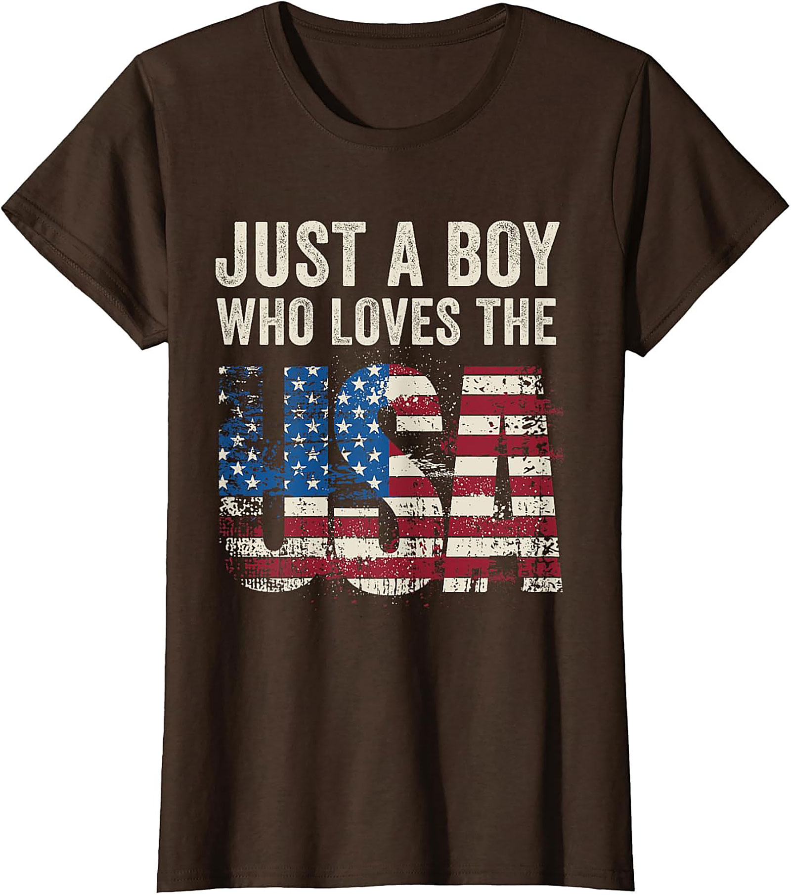 Just a Boy Who Loves the USA Patriotic Graphic Tee