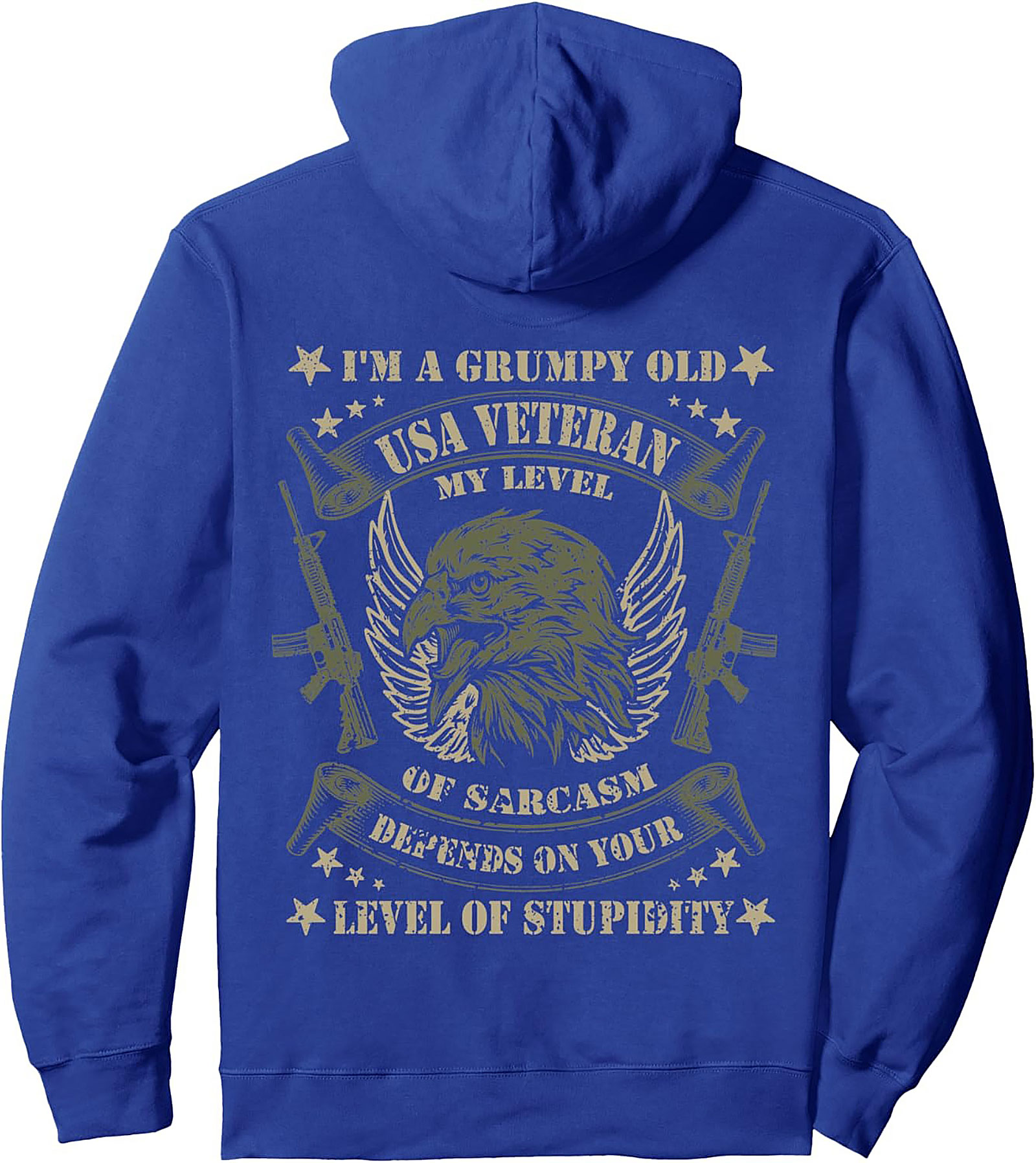 Grumpy Veteran Pullover Hoodie | Sarcastic USA Vet Gift