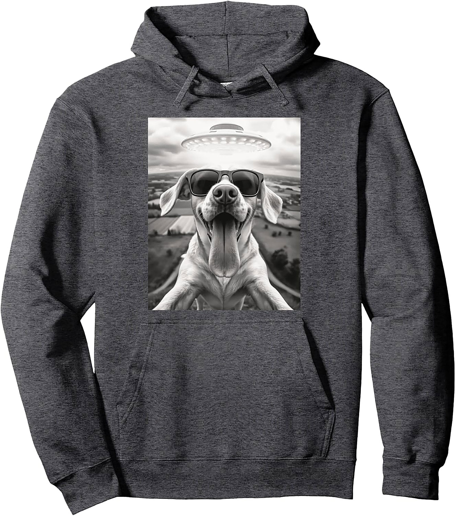 The Coolest Dog in the Galaxy Funny Alien Dog Graphic Hoodie