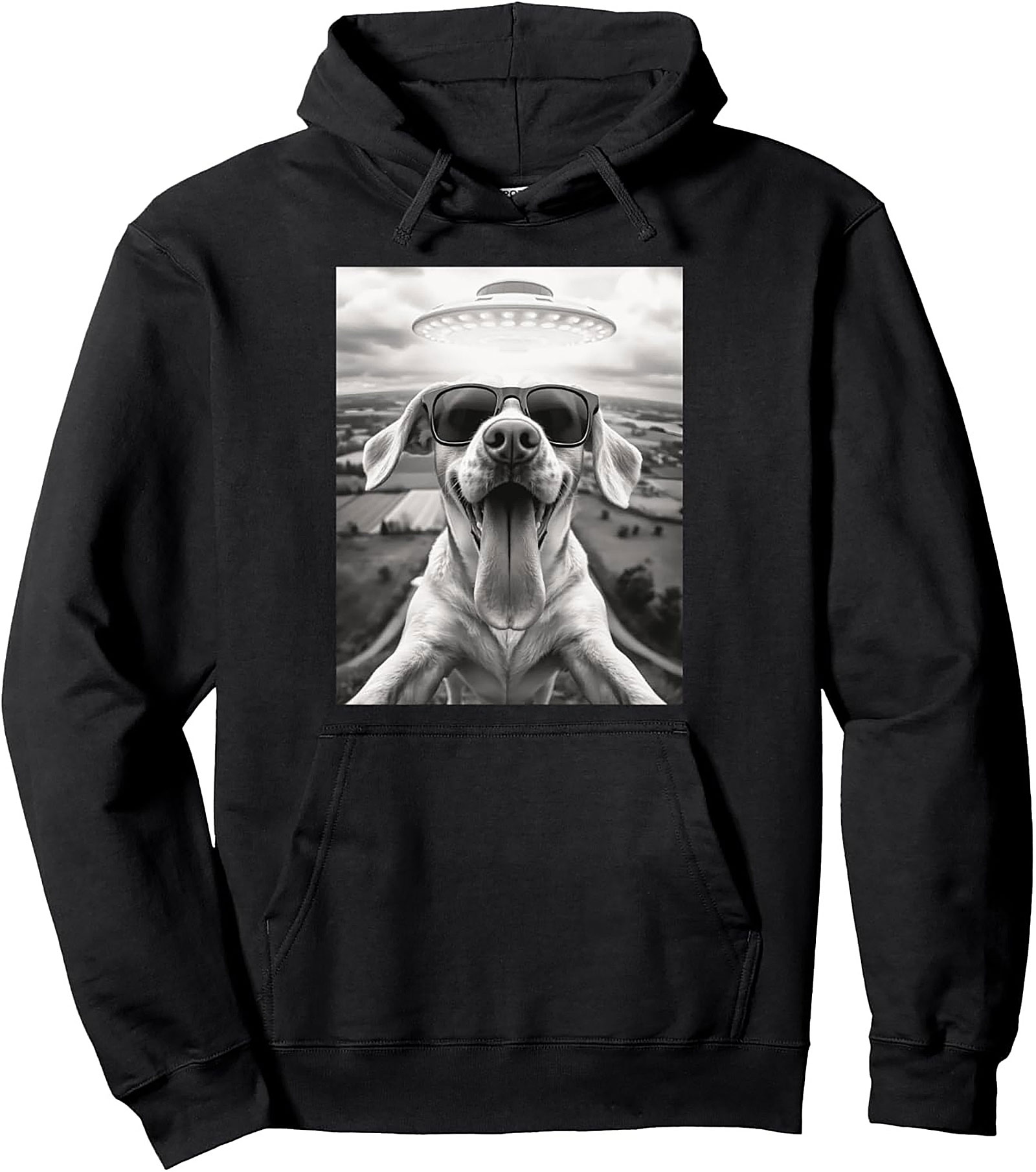 The Coolest Dog in the Galaxy Funny Alien Dog Graphic Hoodie
