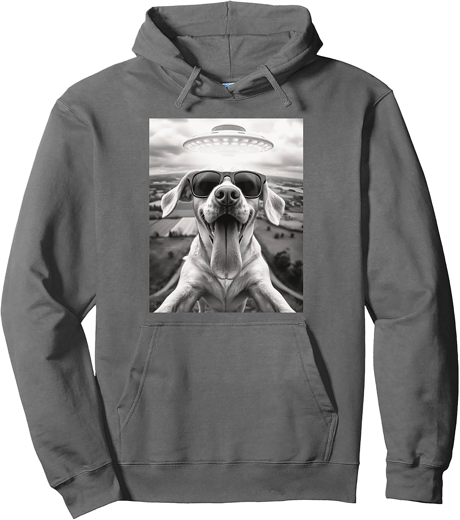 The Coolest Dog in the Galaxy Funny Alien Dog Graphic Hoodie